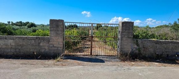 Terrain à Augusta, Italy 5100m² No. 272112 2