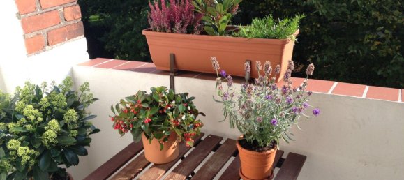 Apartamento T1 em Hamburg-Nord, Germany N.º 272868 9