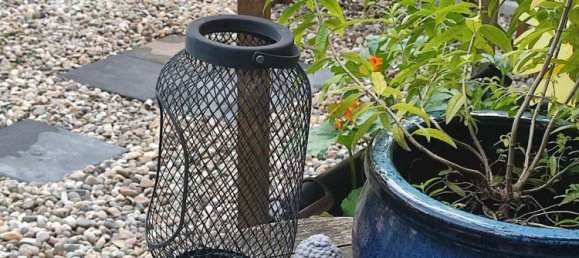 4-salle Maison à Sudwestpfalz, Germany No. 296312 7