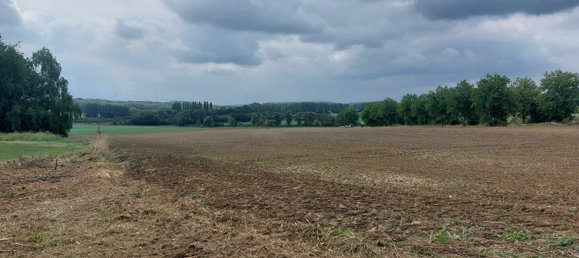 4 bedrooms House in Faulquemont, France No. 243488 2