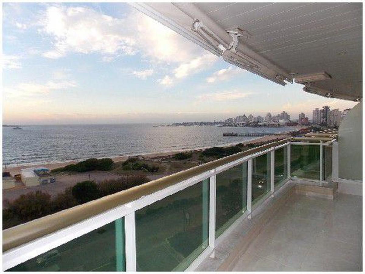 3 غرف نوم شقة في Maldonado, Uruguay رقم 12901