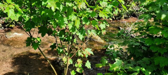 4 bedrooms Townhouse in Miltenberg, Germany No. 125192 27