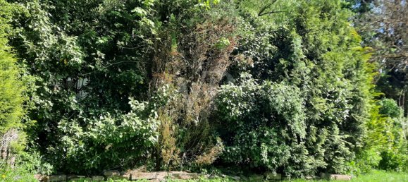 4 bedrooms Townhouse in Miltenberg, Germany No. 125192 4