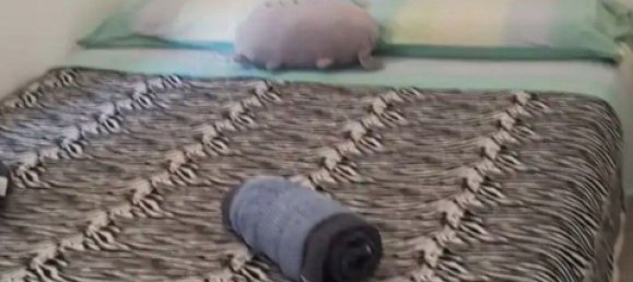 Apartamento de 4 habitaciónes en Palermo, Italy No. 45666 22