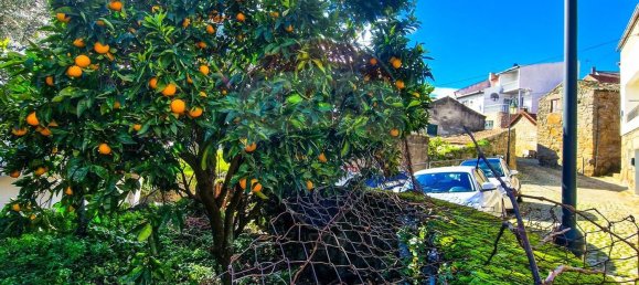 1 Schlafzimmer Haus in Belmonte, Portugal, Nr. 171946 12