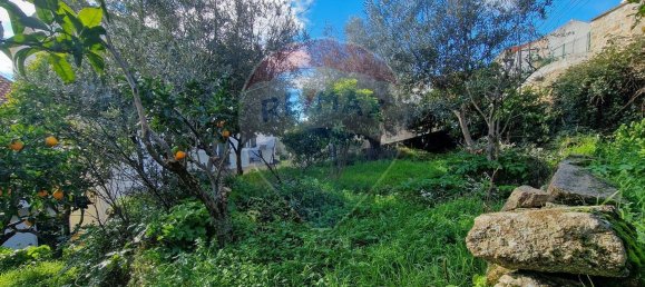 1 Schlafzimmer Haus in Belmonte, Portugal, Nr. 171946 9