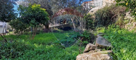 1 Schlafzimmer Haus in Belmonte, Portugal, Nr. 171946 8