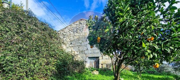 1 Schlafzimmer Haus in Belmonte, Portugal, Nr. 171946 4