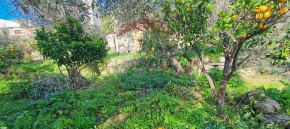 1 Schlafzimmer Haus in Belmonte, Portugal, Nr. 171946 13