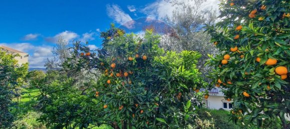 1 Schlafzimmer Haus in Belmonte, Portugal, Nr. 171946 10
