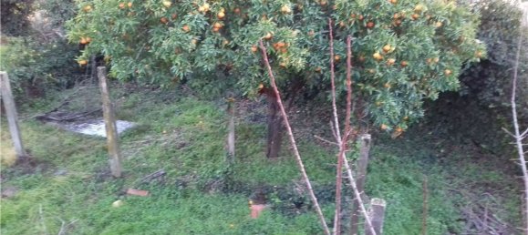 3 bedrooms House in Cabecudo, Portugal No. 36933 3