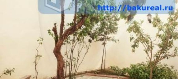 6 rooms Office in Baku, Azerbaijan No. 1048 2