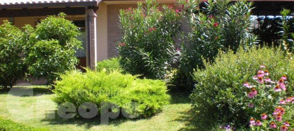 7 bedrooms Villa in Roccamontepiano, Italy No. 76066 3