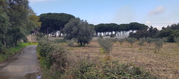 Terrain à Gizzeria, Italy 3980m² No. 8939 8