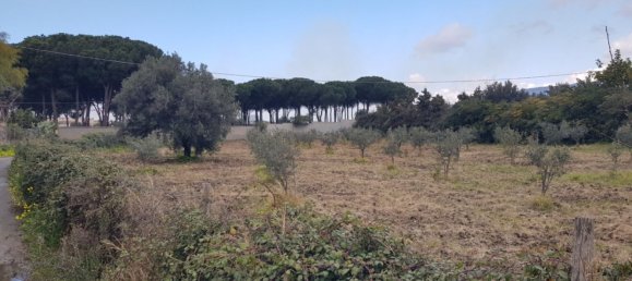 Terrain à Gizzeria, Italy 3980m² No. 8939 4