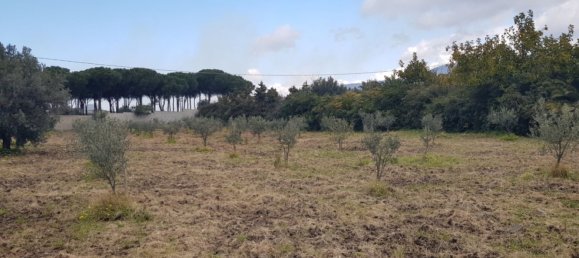 Terrain à Gizzeria, Italy 3980m² No. 8939 6