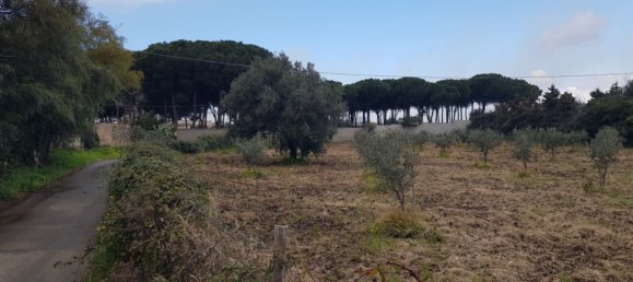 Terrain à Gizzeria, Italy 3980m² No. 8939 7