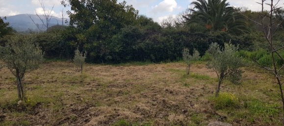 Terrain à Gizzeria, Italy 3980m² No. 8939 5