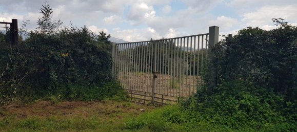 Terrain à Gizzeria, Italy 3980m² No. 8939 10