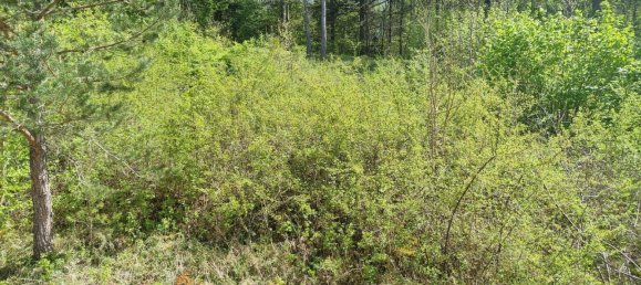 1097m² Land in Eichstatt, Germany No. 119801 3