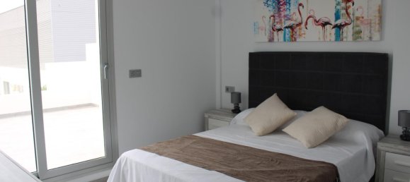 3 bedrooms Villa in San Fulgencio, Spain No. 11121 21