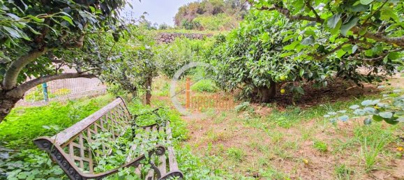 2 bedrooms House in La Orotava, Spain No. 184570 73