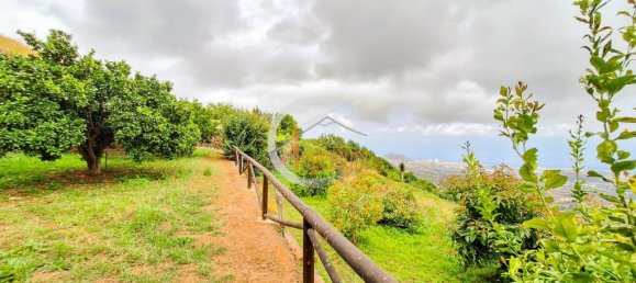 2 bedrooms House in La Orotava, Spain No. 184570 62