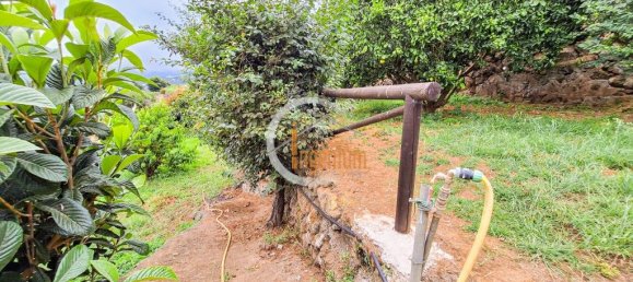 2 bedrooms House in La Orotava, Spain No. 184570 82