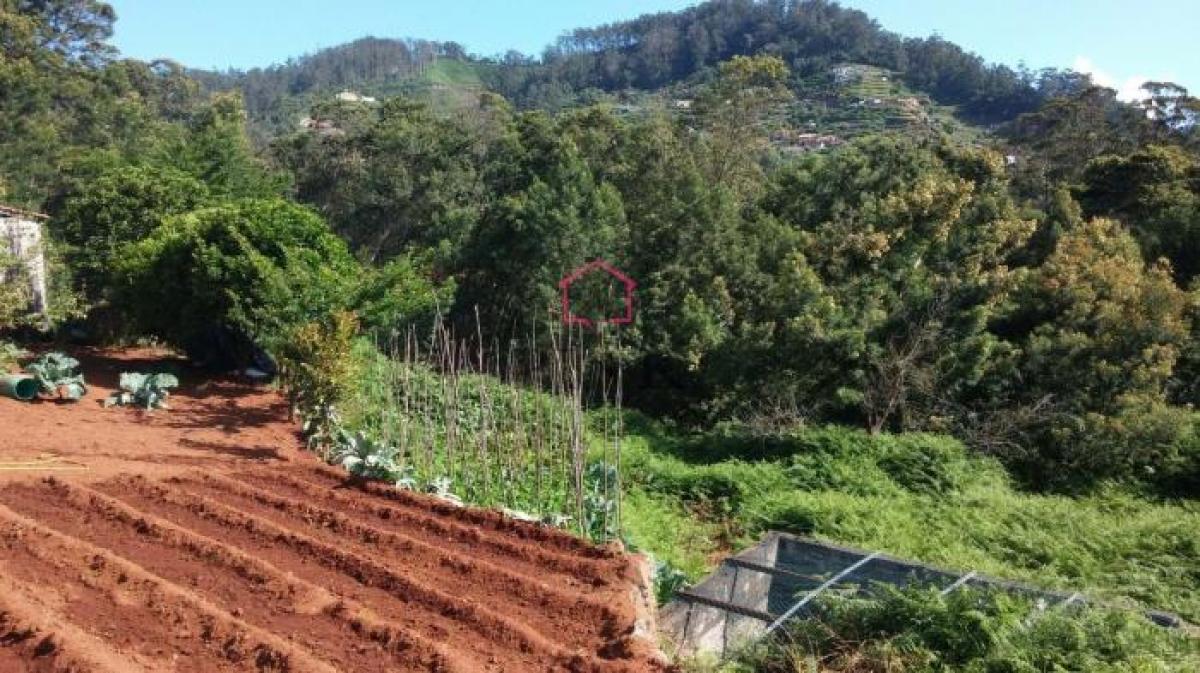  Land in Machico, Portugal No. 2046