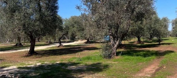 Terreno en Ceglie Messapica, Italy 100 m² No. 113553 11