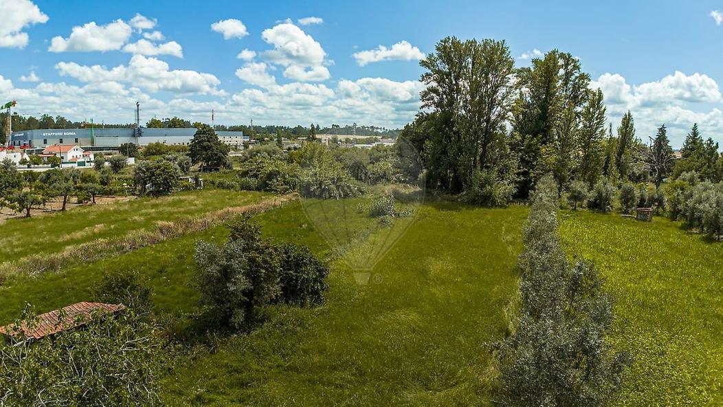 Terrain à Canas de Senhorim, Portugal No. 303796