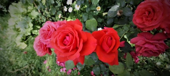 Квартира с 2 спальнями в Мариенфельде, Германия № 58289 11