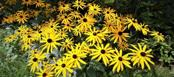 Квартира с 2 спальнями в Мариенфельде, Германия № 58289 10