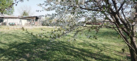 8 rooms House in Parma, Italy No. 231867 17