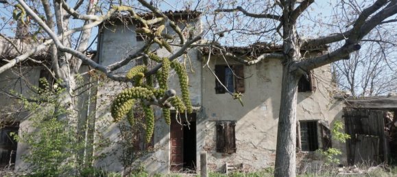 8 rooms House in Parma, Italy No. 231867 5