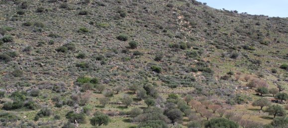 15000m² Hotel in Agios Nikolaos, Greece No. 5017 5