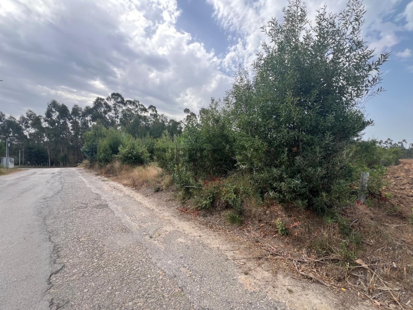 Terrain à Ovar, Portugal 3680m² No. 254706