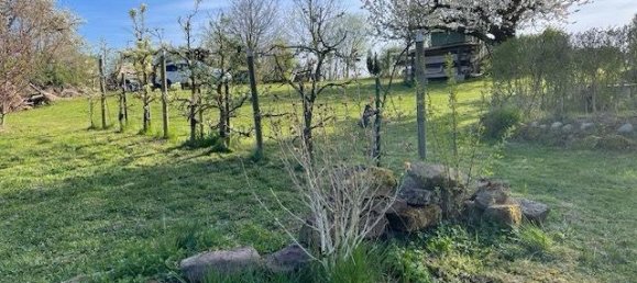 Terreno en Neckar-Odenwald-Kreis, Germany No. 287203 4