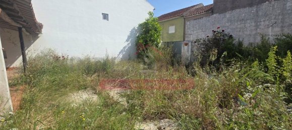 5 bedrooms House in Montemor o Velho, Portugal No. 179923 20