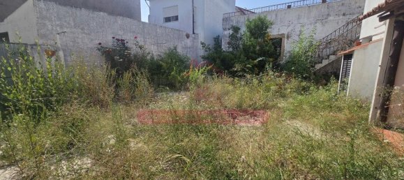 5 bedrooms House in Montemor o Velho, Portugal No. 179923 5