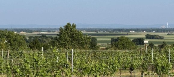 Земельный участок 2600м² в Фельс ам Ваграм, Австрия № 194969 2