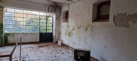 3 Schlafzimmer Haus in Nisa, Portugal, Nr. 18492 41