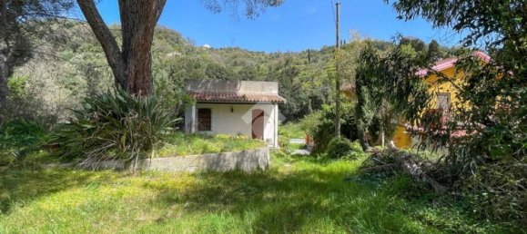 5 rooms House in Torregrotta, Italy No. 84707 17