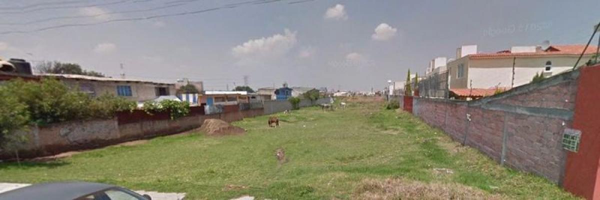  Land in Mexico No. 206069