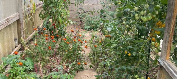 Adosado de 3 dormitorios en Rhein-Erft, Germany No. 369016 26