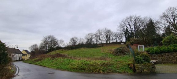 Terrain à Bernkastel-Wittlich, Germany No. 130296 8
