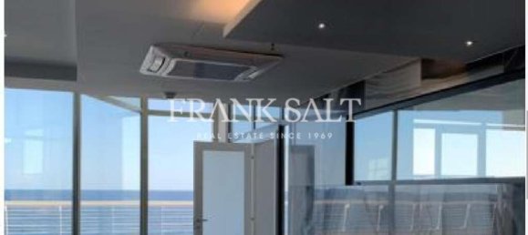 217m² Office in Sliema, Malta No. 12303 5