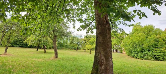 Granja de 5 dormitorios en Ostalbkreis, Germany No. 231187 5