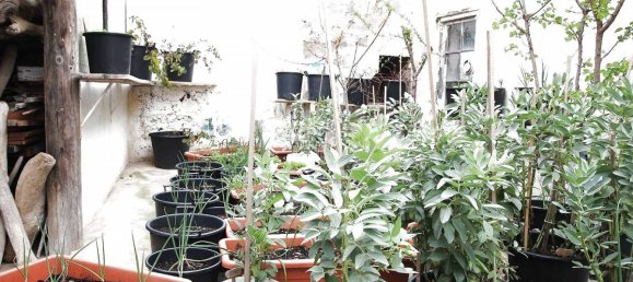 250m² Land in Es Castell, Spain No. 3916 5