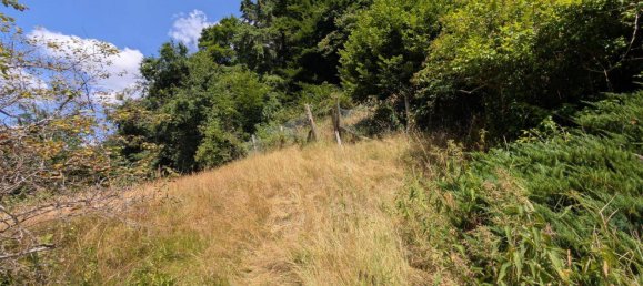 6غرفة منزل في Kaiserslautern, Germany رقم 244464 18